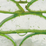 IZEZE Black Cumin NDA Pudding Gel Cream (50ml) - Kiyoko Beauty