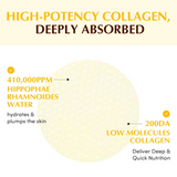 Eqqualberry Collagen Glow Up Gel Toner Pad (60pcs) - Kiyoko Beauty