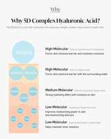 TORRIDEN Dive-In Low Molecular Hyaluronic Acid Serum (50ml) - Kiyoko Beauty