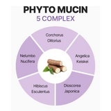 MEDIHEAL Collagen Mucin Essence Mask (5pcs)