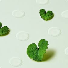 PURITO Wonder Releaf Centella Spot Patch (51 pcs) - Kiyoko Beauty