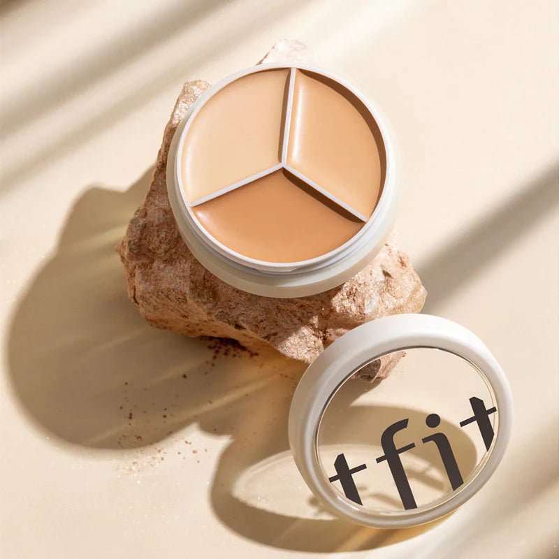 TFIT Cover Up Pro Concealer (15g)