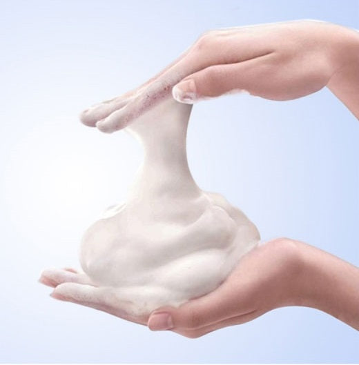 Shiseido SENKA SPEEDY Perfect Whip Moist Foam (150ml)